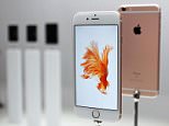 Apple Inc. unveils iPhone 6s (front) and iPhone 6s Plus models at a media event in San Francisco on Sept. 9, 2015. The U.S. consumer electronics and online services giant will start taking pre-orders for the latest models of its popular smartphone Sept. 12 and launch sales Sept. 25 in countries including Japan and the United States. (Kyodo)
==Kyodo
